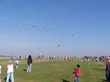 Drakida 2005